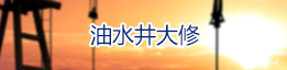 蜘蛛吊廠家榮譽資質